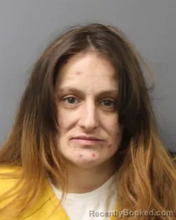 Mugshot of MORGAN ZIOLKOWSKI