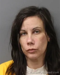 Mugshot of NICOLE A BAUSHER
