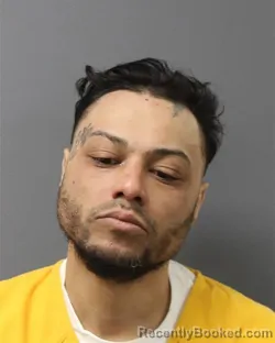 Mugshot of LUIS ALBERTO LINAREZ