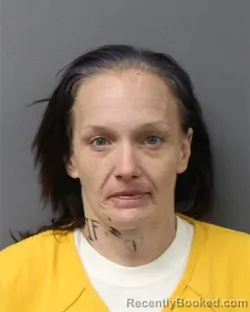 Mugshot of ELIZABETH M SHEEDER booked in Berks County, Pennsylvania on June 9, 2026