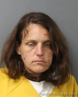 Mugshot of ASHLEY NICOLE LIDY booked in Berks County, Pennsylvania on April 24, 2026