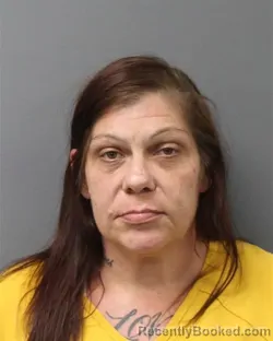 Mugshot of HEATHER FAITH HOOK booked in Berks County, Pennsylvania on June 8, 2026