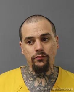 Mugshot of ERIC TYLER GERENA