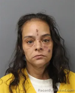 Mugshot of Samantha Gonzalez booked in Berks County, Pennsylvania on August 24, 2026