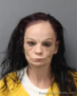 Mugshot of KATHLEEN ELIZABETH GOSNELL booked in Berks County, Pennsylvania on June 18, 2026