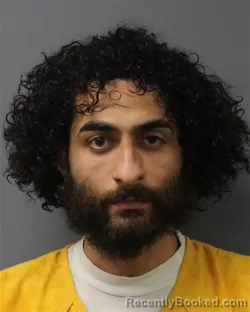 Mugshot of VICTOR MANUEL MOTA