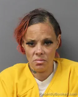 Mugshot of TIFFANY L CULBRETH booked in Berks County, Pennsylvania on April 24, 2026