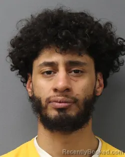 Mugshot of JULIANN RAPHAEL PRIETO booked in Berks County, Pennsylvania on April 26, 2026