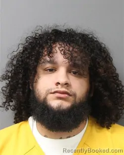 Mugshot of ORLANDO BAEZ