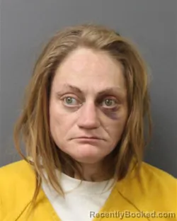 Mugshot of MICHELE R DAVIS