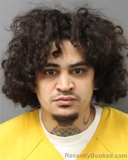 Mugshot of GABRIEL ELISEO LLANOS