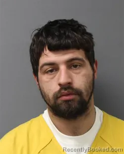 Mugshot of STEVEN THOMAS SAVINI