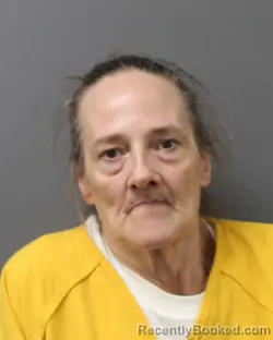 Mugshot of CAROL DAVIS booked in Berks County, Pennsylvania on April 15, 2026