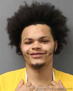 Mugshot of ZVI EMMANUEL ANDREWS-WILLIAMS