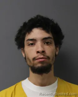 Mugshot of KEYSHAWN ROBERT MCMINN