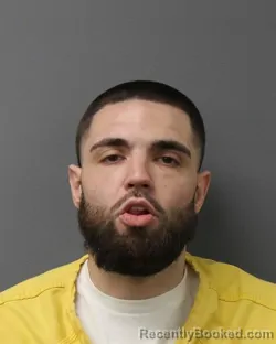 Mugshot of DYLAN TYLER SCHEIB booked in Berks County, Pennsylvania on May 13, 2026