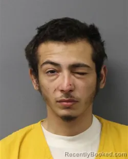 Mugshot of DEVON MELENDEZ