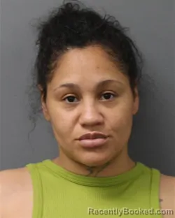 Mugshot of TAVIA CANNON booked in Berks County, Pennsylvania on April 17, 2026