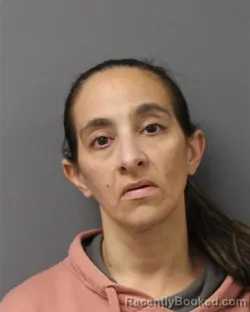Mugshot of Janell Marie Sadlowski booked in Berks County, Pennsylvania on September 22, 2026