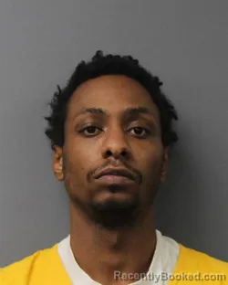 Mugshot of DARLYN TAVERAS-CASTILLO