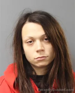 Mugshot of Nicole Lyn Will booked in Berks County, Pennsylvania on September 10, 2026