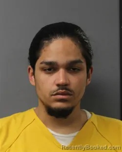 Mugshot of RUICHLEE MALDONADO-RAMIREZ
