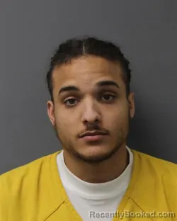 Mugshot of ALBERT JOHN JAJE