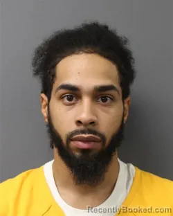 Mugshot of RARNEL LUIS VALDEZ