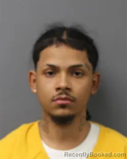 Mugshot of NICHOLAS SOOLAL