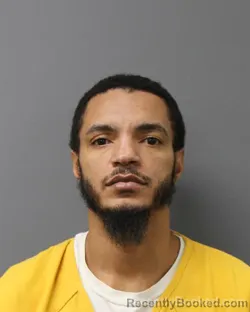 Mugshot of ARGENIS DELOSSANTOS