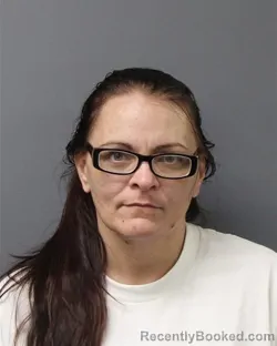 Mugshot of Erica Schwab booked in Berks County, Pennsylvania on August 6, 2026