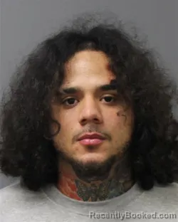 Mugshot of ALEJANDRO PEREZ-RODRIGUEZ