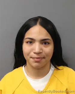 Mugshot of Julimary Dejesus booked in Berks County, Pennsylvania on September 21, 2026