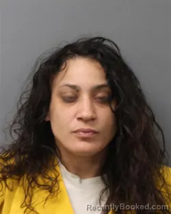 Mugshot of BIANCA PIZZAZZ NIEVES