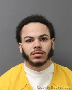 Mugshot of JOSE JAPHET NIEVES-MARTIN