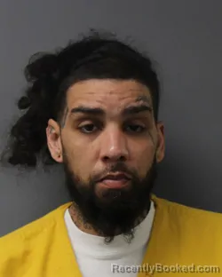 Mugshot of JOSHUA LAMAR LINDSTROM