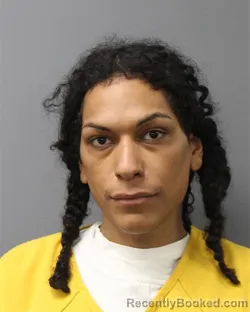 Mugshot of MATTHEW GIL