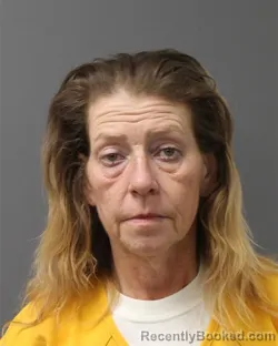 Mugshot of Sheila C Wiswesser booked in Berks County, Pennsylvania on July 31, 2026