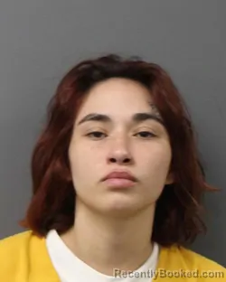 Mugshot of NEILINA TOLENTINO booked in Berks County, Pennsylvania on May 11, 2026