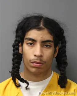 Mugshot of BRUCE GONZALEZ