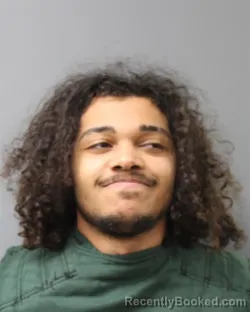 Mugshot of RAYNALDO FIGUEROA