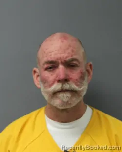 Mugshot of RYAN MCANELLY