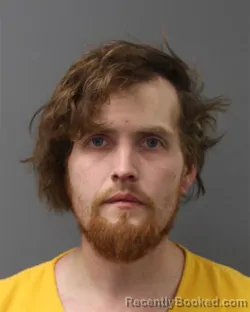 Mugshot of DANA GEISSLER