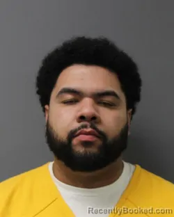 Mugshot of DAVID REYES