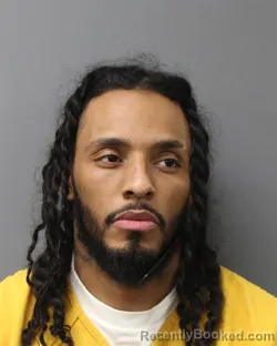 Mugshot of JAMES LOWRY