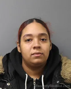 Mugshot of LEYCHARIS ROSARIO-CARRASQUILLO