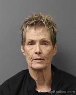Mugshot of DEBBIE SWOPE