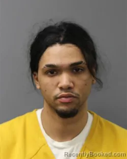 Mugshot of JULIO A RAMOS-PUJOLS