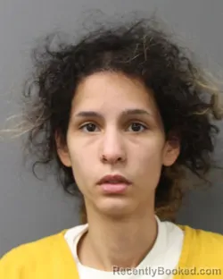 Mugshot of LIBERTY MARIA SANTIAGO