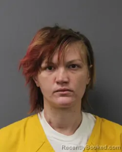 Mugshot of NIKKI COLLINS